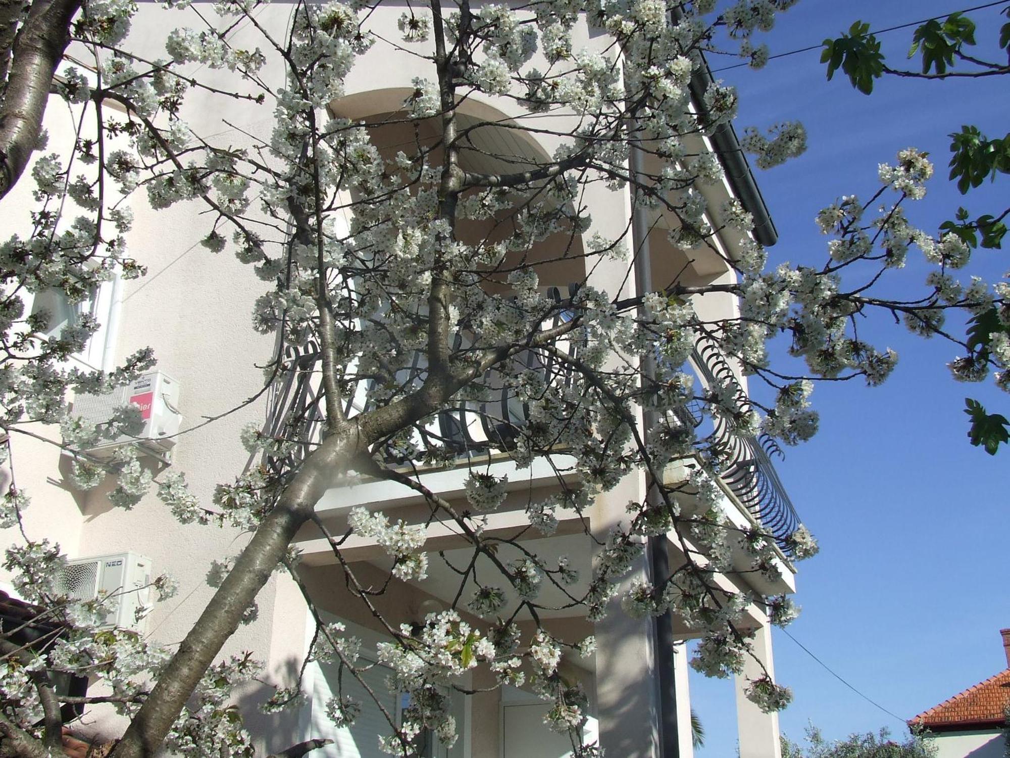 Villa Dalmatia Zadar Oda fotoğraf