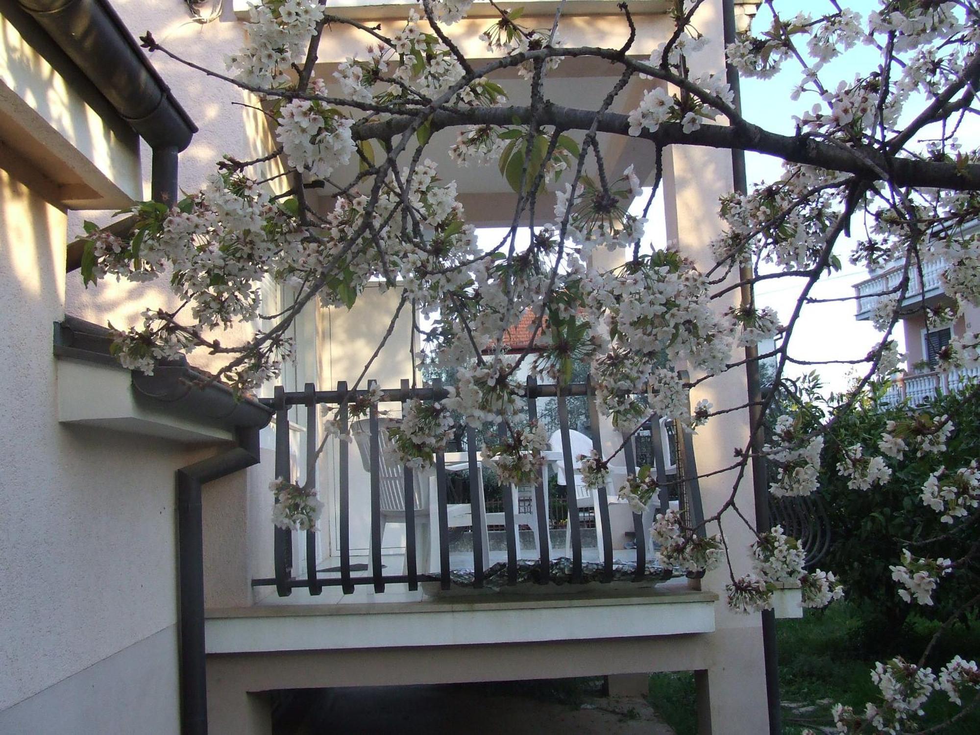 Villa Dalmatia Zadar Oda fotoğraf